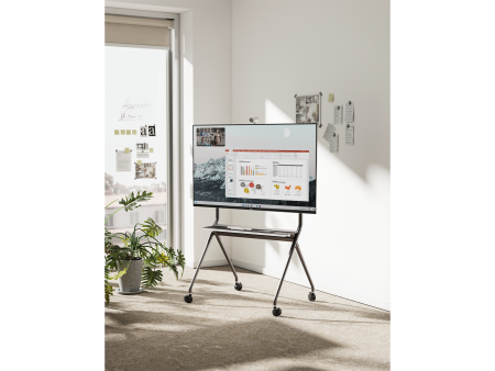 IPmatika TTF15-68FW, мобильная стойка для видеоконференций