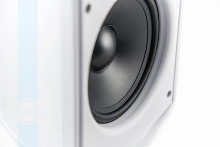CVGaudio RF616TW, вухполосная настенная акустическая система