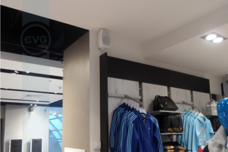 CVGAUDIO ODF508TW, двухполосная IP54 (indoor/outdoor) настенная акустическая система