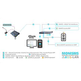 Monisms MNS-AMP3011A-2P, аудиоусилитель
