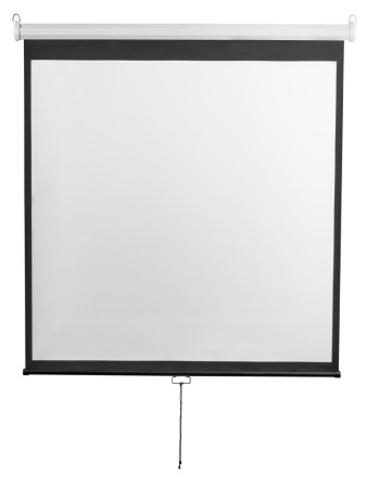 Экран настенный Digis DSOD-4303 (Optimal-D, формат 4:3, 100", 206x159, рабочая поверхность 200x150, MW)