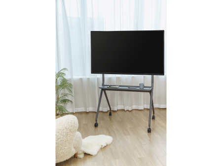 IPmatika TTF15-68FW, мобильная стойка для видеоконференций
