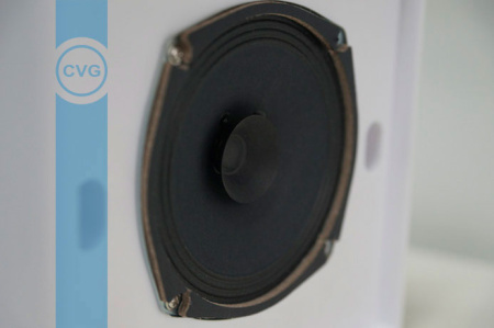 CVGaudio WPS6T, широкополосный Public Address настенный громкоговоритель с аттенюатором