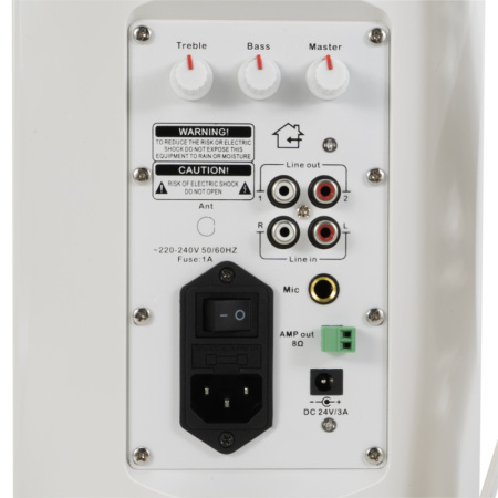 CleverMic SW31 Duo, настенная акустическая система