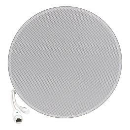 Monisms MNS-6A11CS-1P, потолочный громкоговоритель