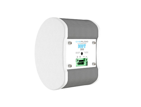 CVGAUDIO NUT3:8W, широкополосный корпусной сателлит