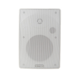 CleverMic SW31 Duo, настенная акустическая система