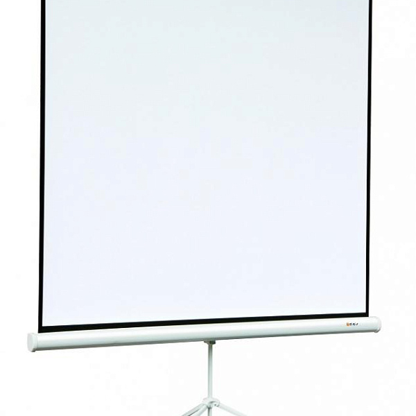 Экран на штативе Digis DSKA-1104 (Kontur-A, формат 1:1, 118", 220*220, MW)