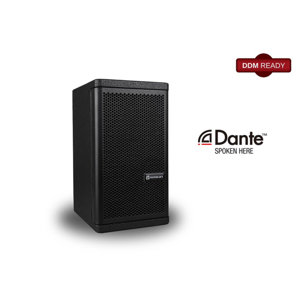 Relacart RDA20, динамик со встроенным усилителем