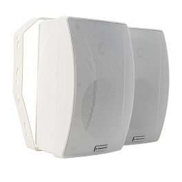 CleverMic SW31 Duo, настенная акустическая система