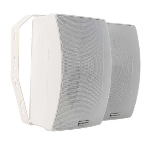 CleverMic SW31 Duo, настенная акустическая система