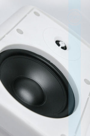 CVGaudio NF5TW, двухполосная настенная акустическая система