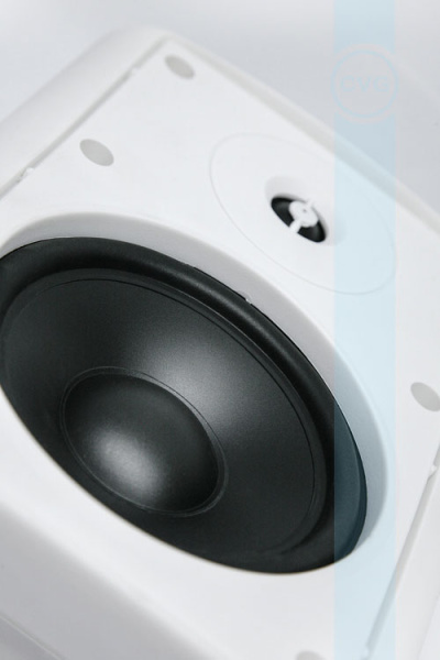 CVGaudio NF5TW, двухполосная настенная акустическая система CVGaudio NF5TW, двухполосная настенная акустическая система