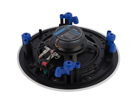 CVGaudio CL608, двухполосная низкопрофильная акустическая система