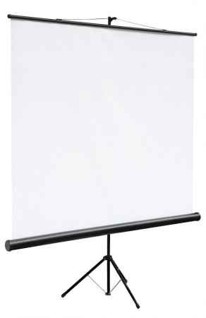 Экран на штативе Digis DSKC-1101 (Kontur-С, формат 1:1, 89", 160*160, MW)