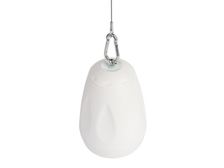 CVGaudio CS416TBW, подвесная двухполосная корпусная акустическая система