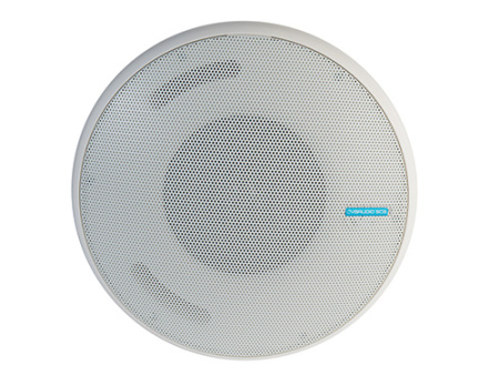 CVGaudio CS608TW, подвесная двухполосная корпусная акустическая система