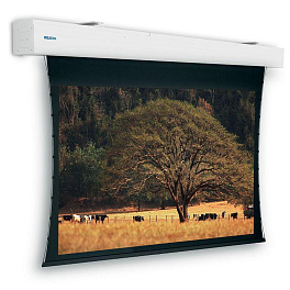 Экран с электроприводом настенно-потолочный Projecta Tensioned Elpro Large Electrol, 199" 16:9 HD Progressive 1.3, 248x440 см. дроп 30 см., длина корпуса 497 см.