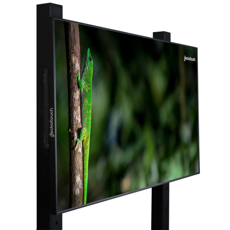 Geckotouch 55DCR, профессиональный дисплей 55"