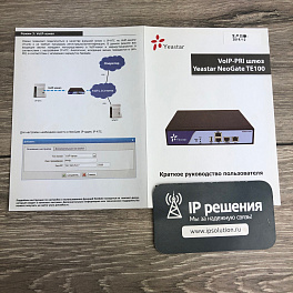 Yeastar NeoGate TE100, VoIP шлюз 1 порт E1