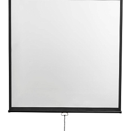 Настенно-потолочный ручной экран - серия Optimal-D. Формат 1:1, 135", 248x249, MW.