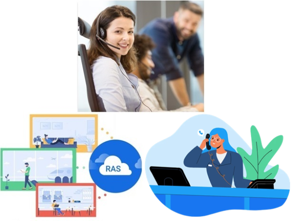 P560 Standard License