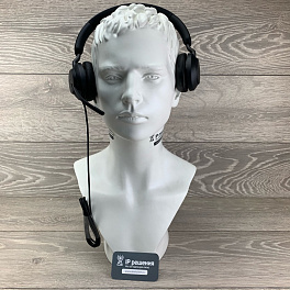 Jabra Evolve2 40 (24089-999-999), проводная гарнитура для компьютера, USB-А, MS Stereo