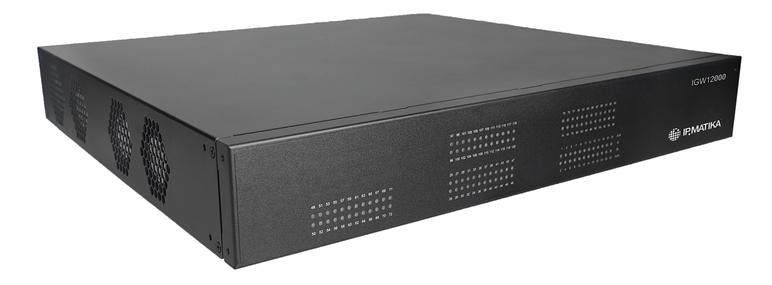 IPmatika IGW12000, VoIP-шлюз на 120 портов FXS