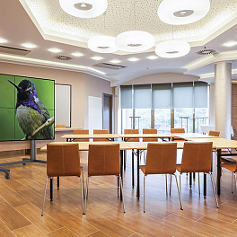 Видеостена 2х2 из панелей LG 49VM5C, 98", шов 1,8 мм; мобильная напольная стойка