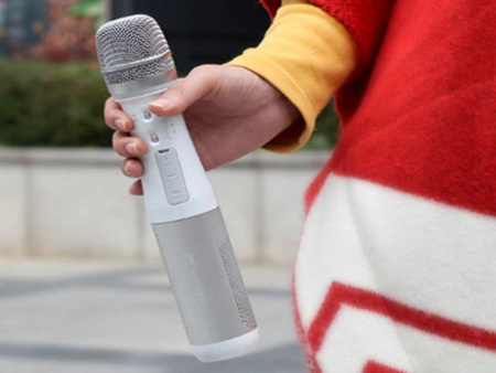 MICKER PRO, микрофон с динамиком для ведения презентаций (белый)