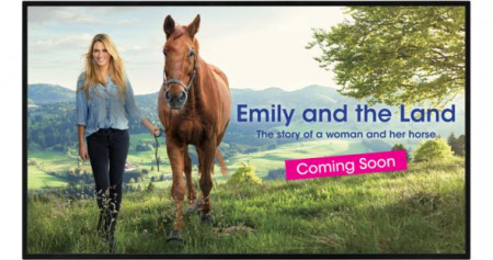 Дисплей Ultra HD 4K 43", LED, 3840x2160, 350 кд/м2, 4000:1, 4K USB Медиа-плеер, динамики 10Втx2, 16/7, HDMIx3, USBx1, 9 кг