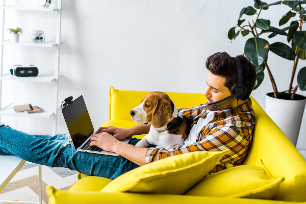 Axtel Voice UC45 duo NC, компьютерная гарнитура