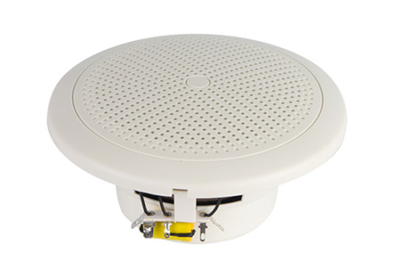 CVGaudio WT58W, двухполосная акустическая система, импеданс - 8ohm