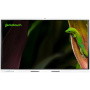 Geckotouch 65SR, интерактивная панель 65"