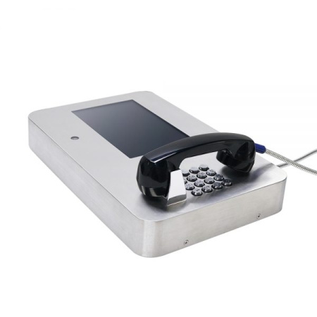 JR213-FK-SIP, антивандальный видеотелефон