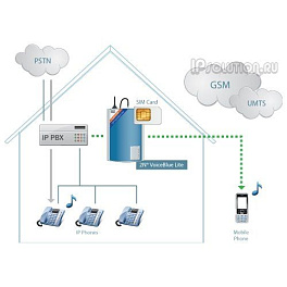 Ateus VoiceBlue 2N Telekomunikace, Voip GSM шлюз (2 GSM канала)