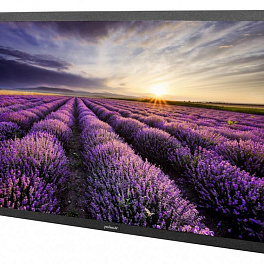 Всепогодная уличная ЖК панель Peerless-AV UV552 (Серия UltraView, 55", 3840x2160 4K, 500кд/м2, 1100:1, 178град, IP55, темп.режим -30/+50)