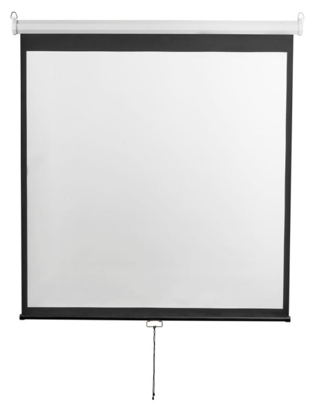 Настенно-потолочный ручной экран - серия Optimal-D. Формат 1:1, 135", 248x249, MW. Настенно-потолочный ручной экран - серия Optimal-D. Формат 1:1, 135", 248x249, MW.