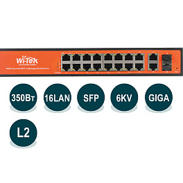 Wi-Tek WI-PMS320GF