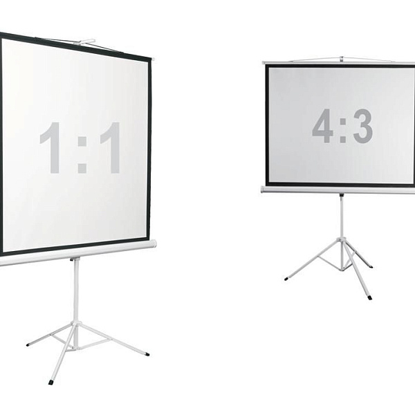 Экран на штативе Digis DSKD-4304 (Kontur-D, формат 4:3, 120", 248x190, рабочая поверхность 240x180, MW)