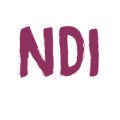 Конвертеры NDI