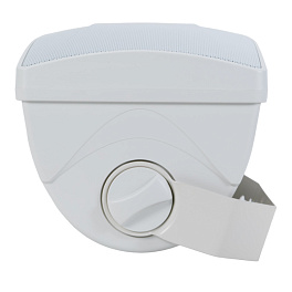 CleverMic SW31 Duo, настенная акустическая система