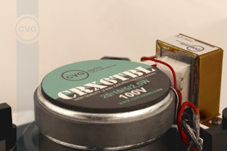 CVGaudio CRX6TBl, двухполосная акустическая система для 100V систем