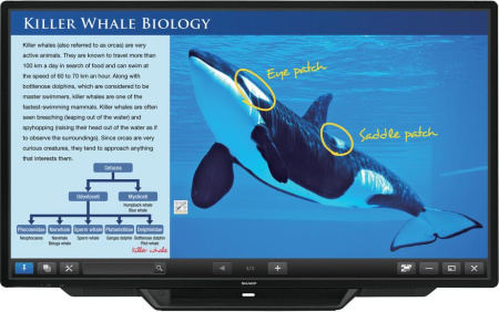 Интерактивная ЖК панель, проекционно-ёмкостная, 80", LСD, 300 Кд/м2, 1920х1080, 4000:1, HDMIx3 VGA, Display Port, 2xUSB, 10Base-T/100Base-TX/1000Base-T, 10+10 Вт, 77 кг, UV2A, Fanless, 2 стилуса, Touch DisplayLink 2.0. Мультитач 10 касаний. 24/7