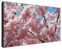 Бесшовная LCD панель, 60", LED, 700 кд/м2, 1366х768, 4000:1, HDMI, VGA, 24/7, рамка 2.4/4.1 мм, 44 кг Бесшовная LCD панель, 60", LED, 700 кд/м2, 1366х768, 4000:1, HDMI, VGA, 24/7, рамка 2.4/4.1 мм, 44 кг