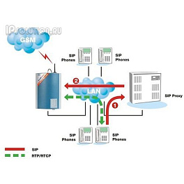 Ateus VoiceBlue 2N Telekomunikace, Voip GSM шлюз (2 GSM канала)