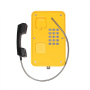 Termit PublicPhone WHS101FK-IP, всепогодный телефон 