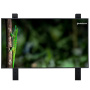 Geckotouch 55DCR, профессиональный дисплей 55"