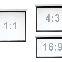 Экран настенный с электроприводом Digis DSEF-4307, формат 4:3, 200" (408x317), MW