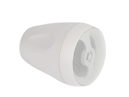 CVGaudio CS416TBW, подвесная двухполосная корпусная акустическая система